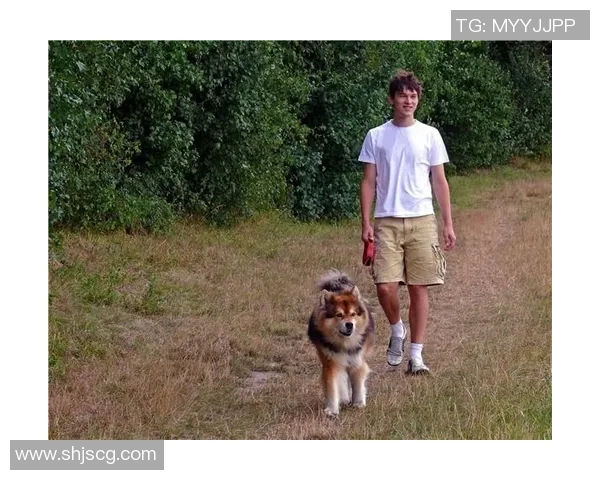 足球球星与宠物的深厚情感揭示他们生活中的另一面温暖与陪伴